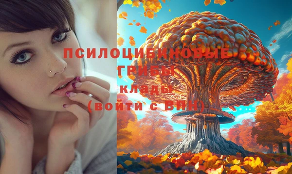мяу мяу мука Балахна