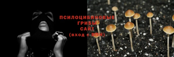 мяу мяу мука Балахна