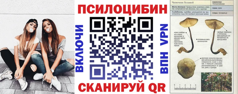Галлюциногенные грибы Psilocybine cubensis как найти закладки Новокубанск